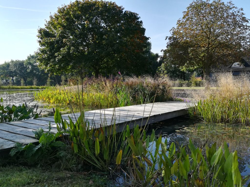 toekomstbestendige natuur,klimaat, duurzaamheid, biodiversiteit