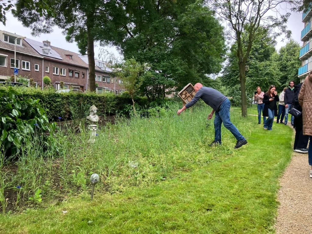 urban rewilding in de openbare ruimte