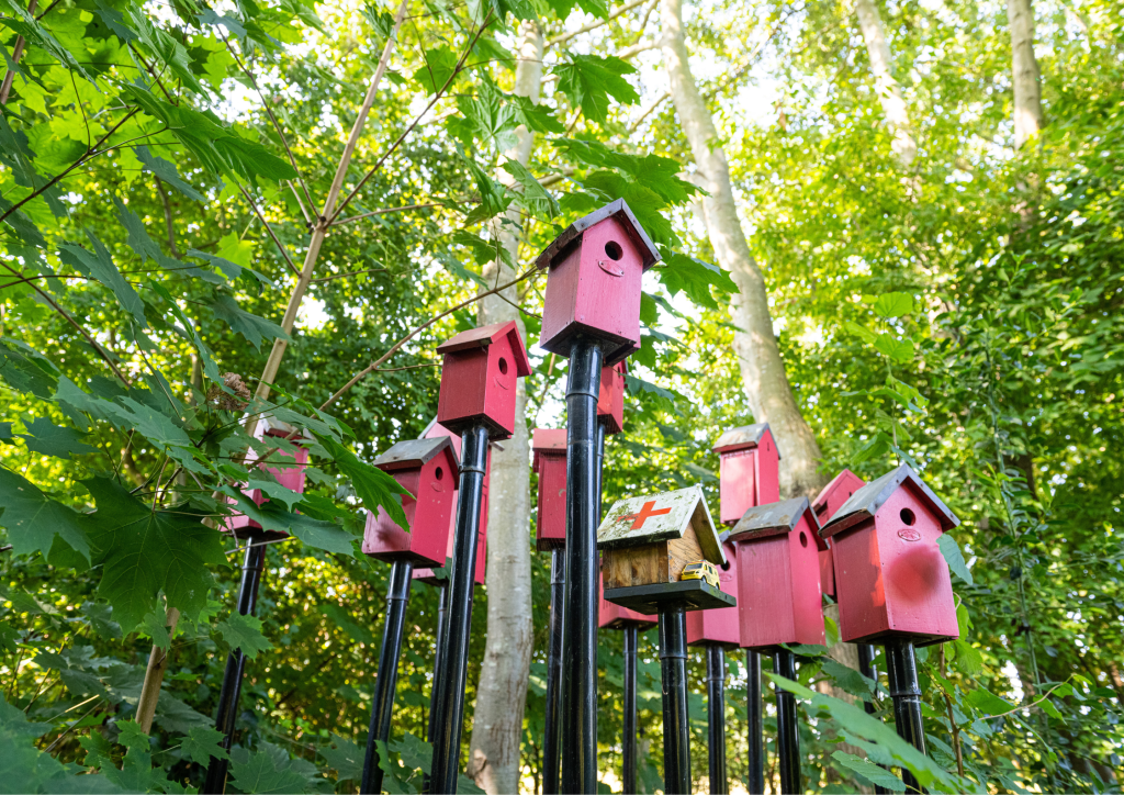 mitigerende maatregelingen