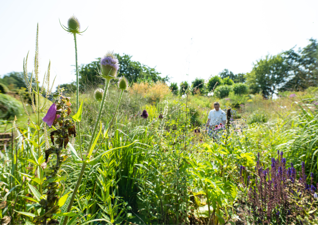 biodiversiteit, klimaatadaptatie, duurzaamheid, vergroenen, natuurlijke processen, natuurinclusief, natuurlijke leefomgeving, integraal ontwerp