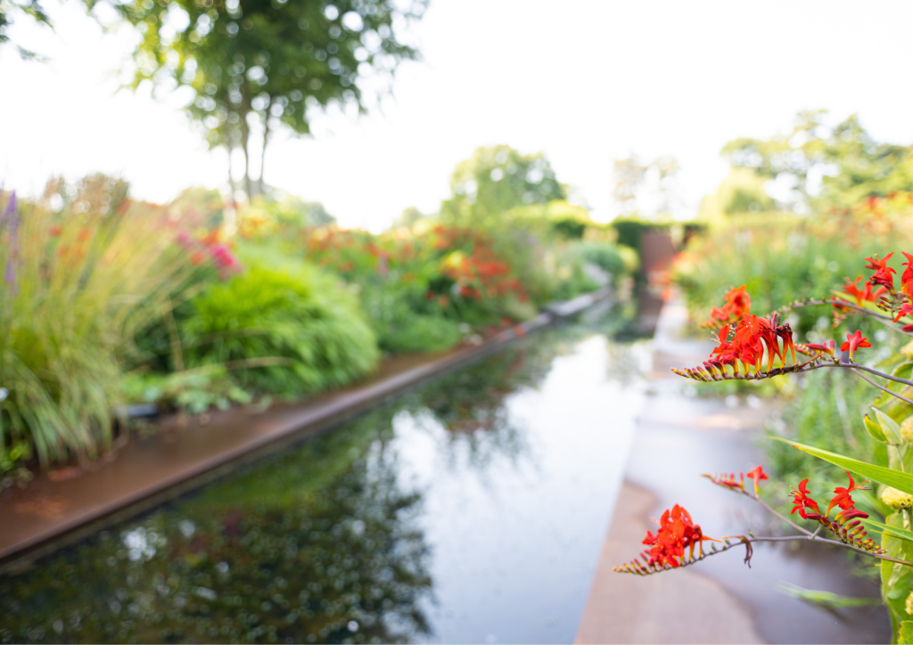 biodiversiteit, klimaatadaptatie, duurzaamheid, vergroenen, natuurlijke processen, natuurinclusief