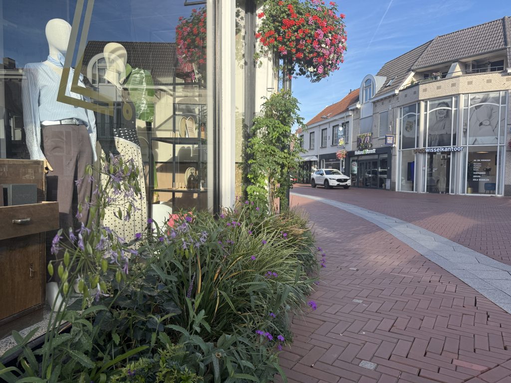 participatieproces, groene herinrichting openbare ruimte