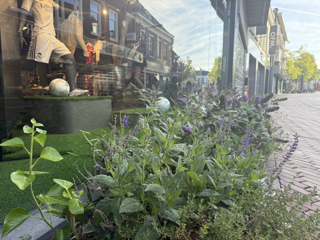 klimaatadaptatie, klimaat adaptief inrichten, klimaat, duurzaamheid