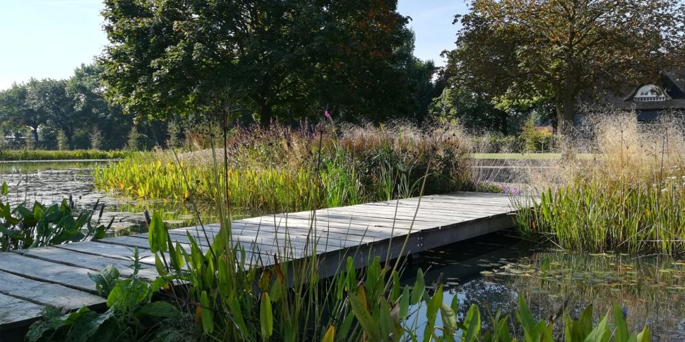 toekomstbestendige natuur,klimaat, duurzaamheid, biodiversiteit