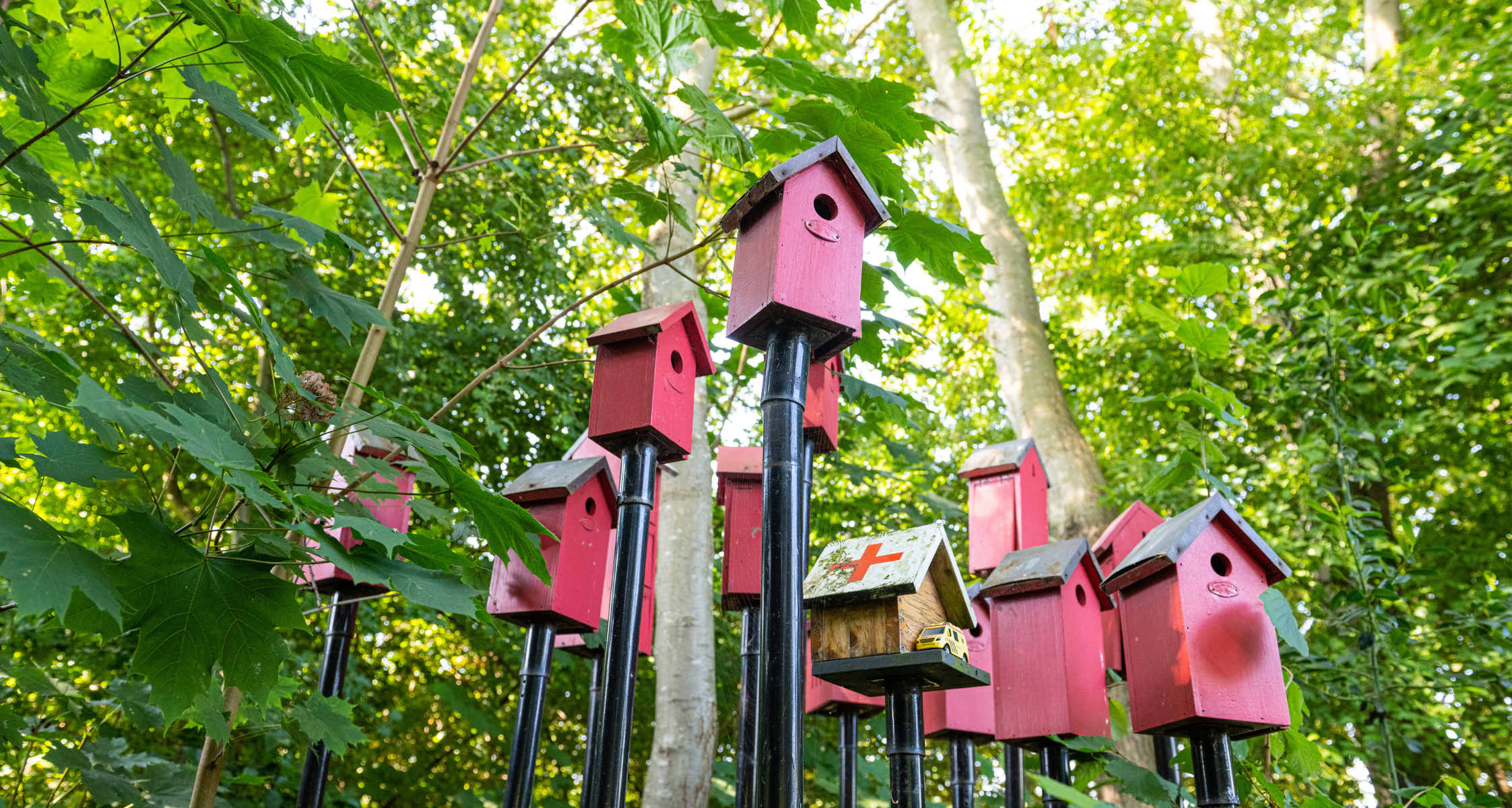 mitigerende maatregelingen