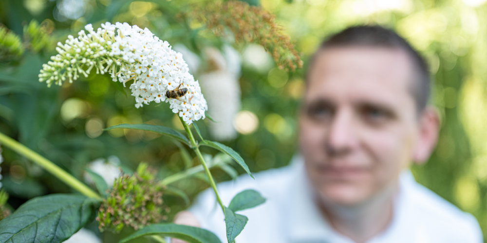 biodiversiteit, klimaatadaptatie, duurzaamheid, vergroenen, natuurlijke processen, natuurinclusief, natuurlijke leefomgeving, integraal ontwerp